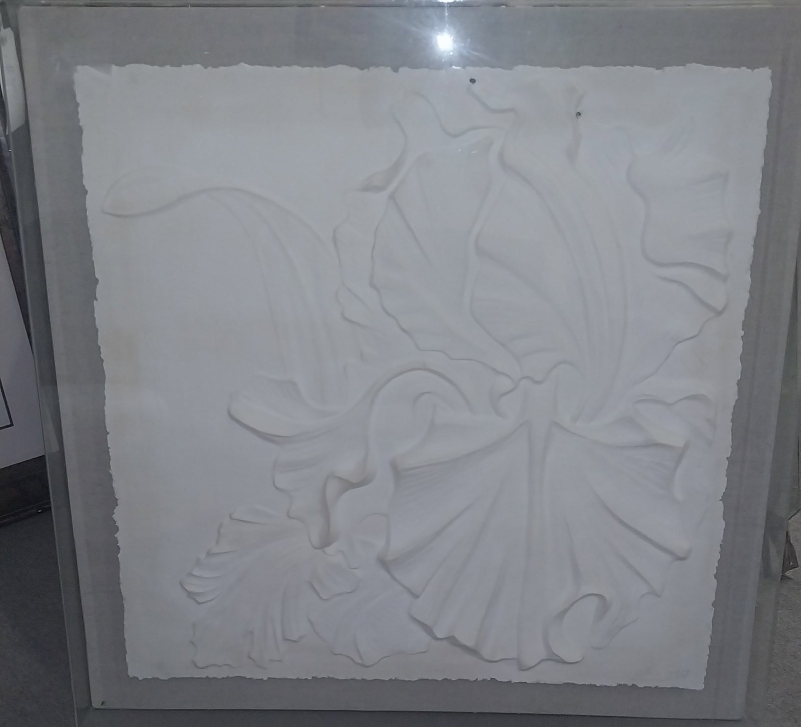 "Iris" Paper Relief Sculpture by William Stout in Shadow Box, 40.5 x 40.5 in, shadow box has crack (1 of 4)