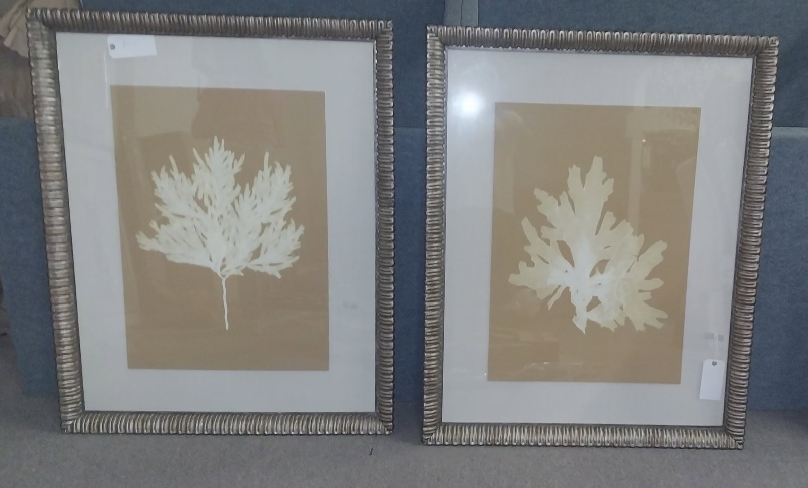 Framed Leaf Art, 45.5 x 36.5 in: Framed Leaf Art, 45.5 x 36.5 in