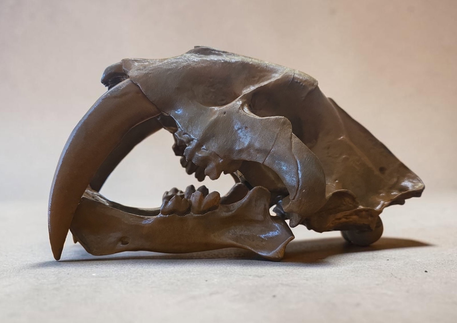 T Rex 3D printing skull (1 of 2)