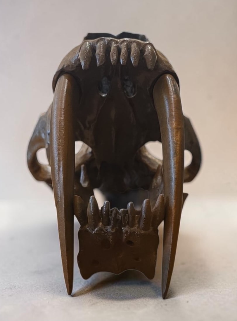 T Rex 3D printing skull - 2