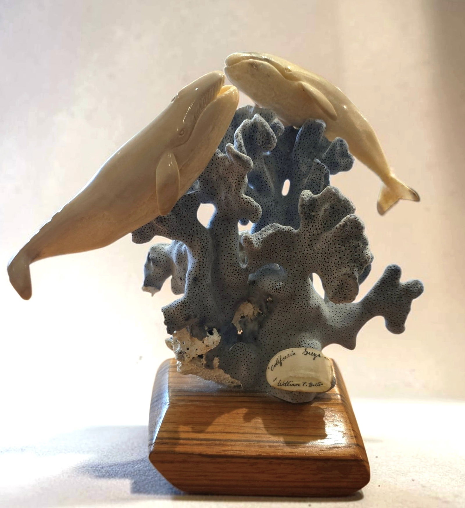 Blue Lettuce coral and California Gray whale sculpture (1 of 5)