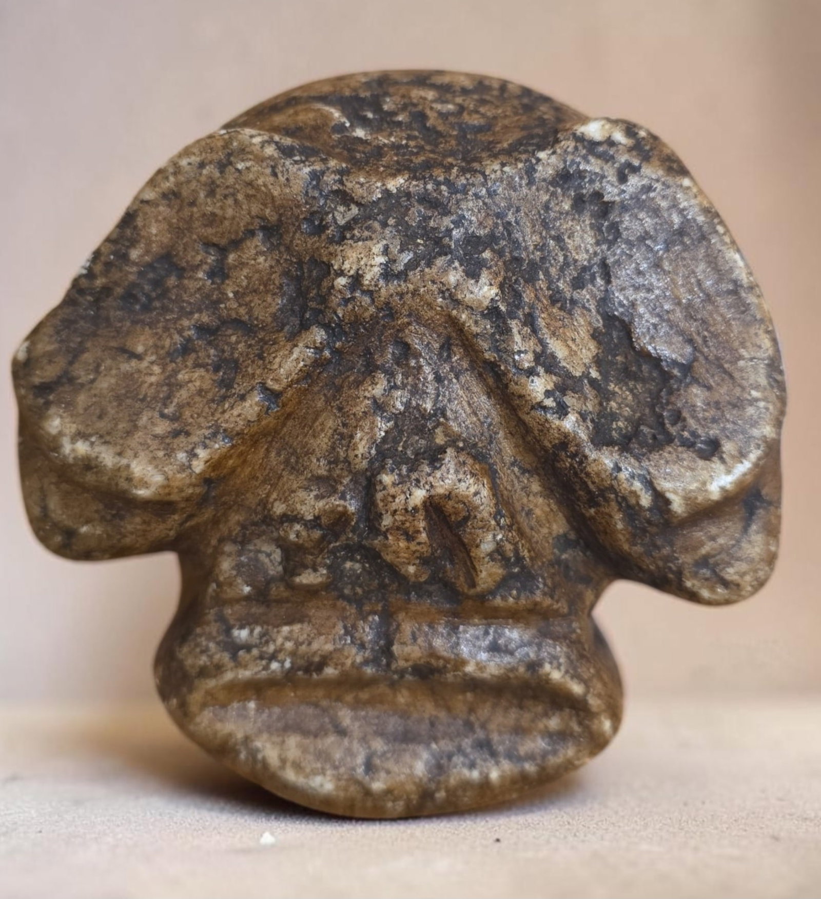 Pre-Columbian Taino Ceremonial Zemi: 3.75" x 3.25" Pre-Columbian Taino Ceremonial Zemi, Zoomporphic face, Taino Culture, 800-1200 C.E.