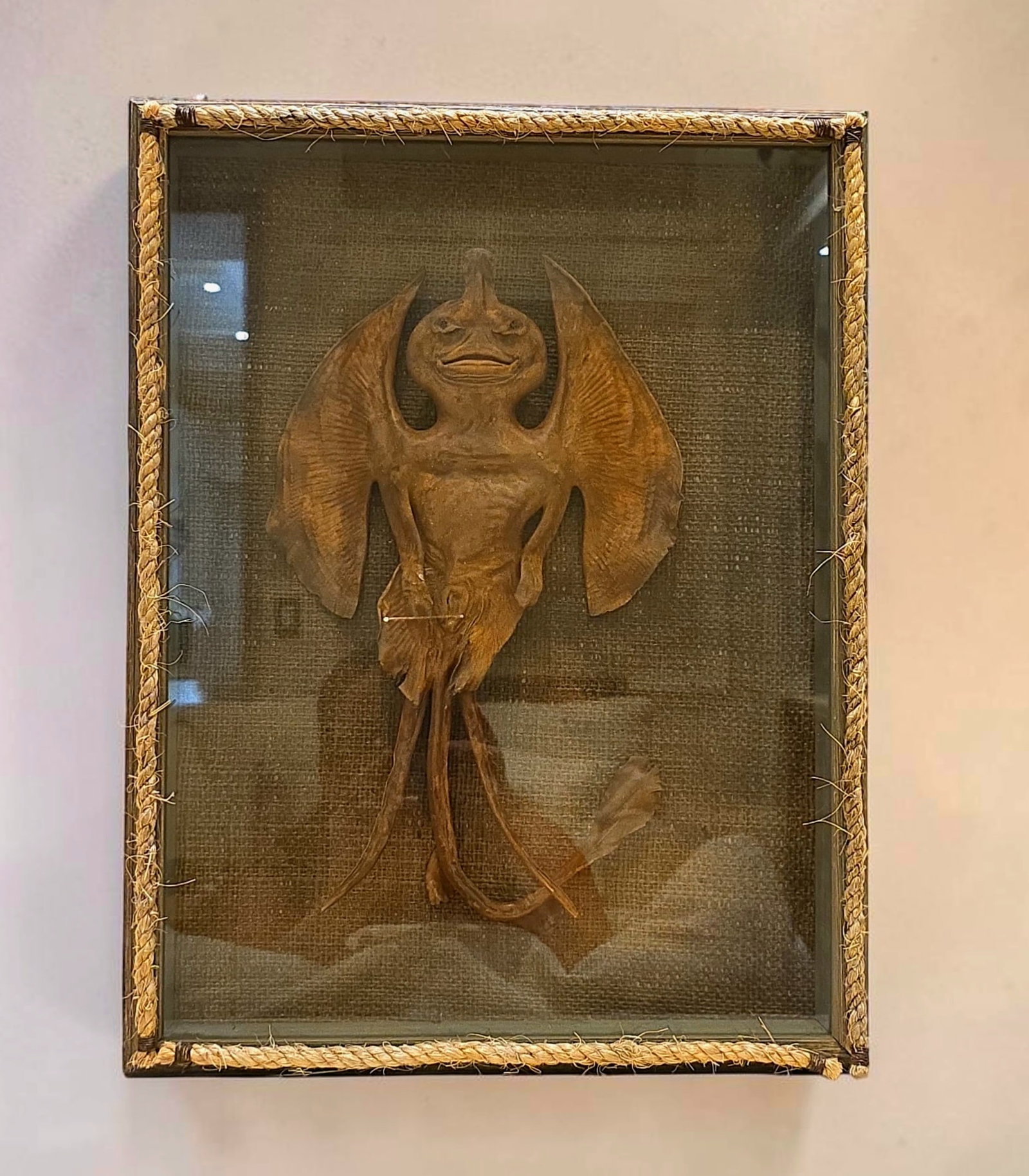 Antique Jenny Haniver, Humanoid Creature Odity Shadowbox: 20" x 12" Antique Jenny Haniver, Humanoid Creature Odity Shadowbox, Dried carcass of a Stingray or skate, Handcrafted to resemble a grotesque demonic or humanoid creature , sailors and fishermen have 