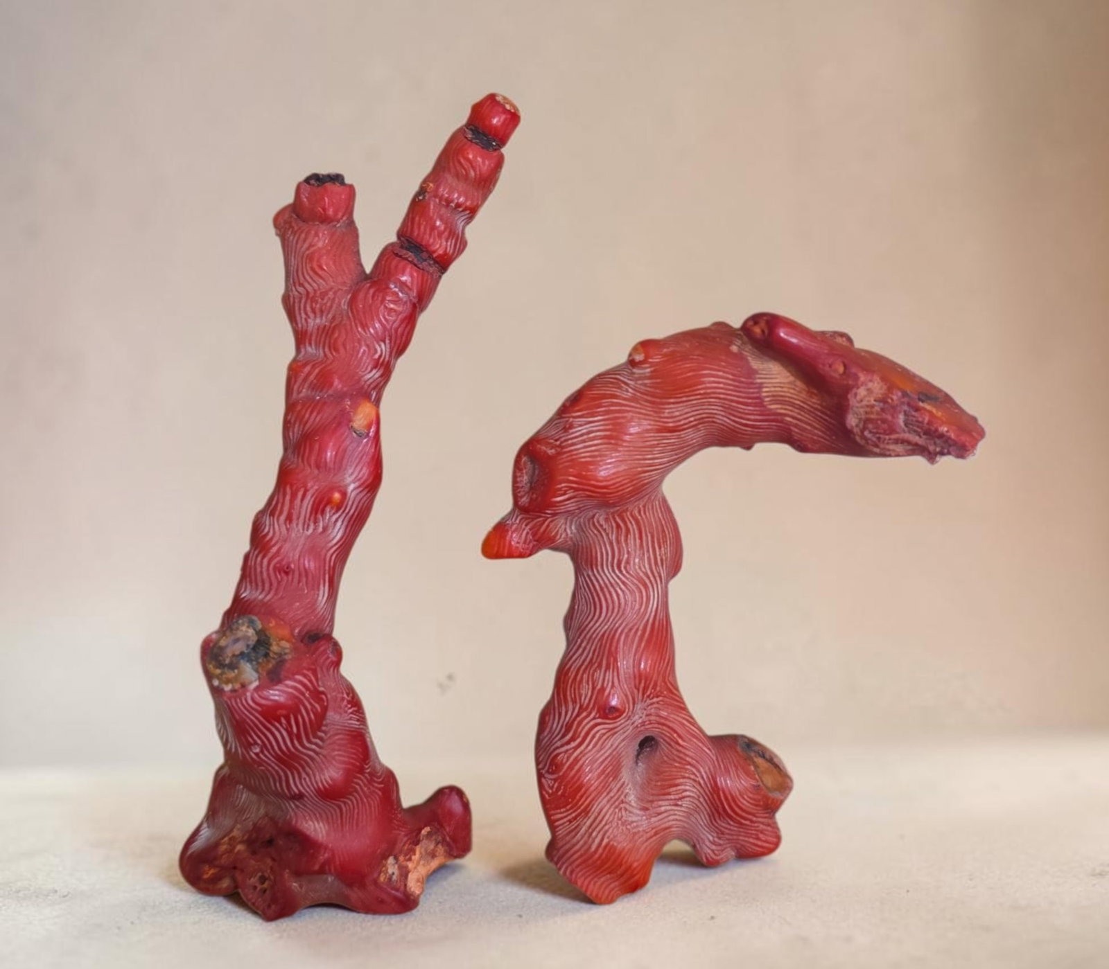 Natural Red Branch Coral Scultpures (1 of 2)