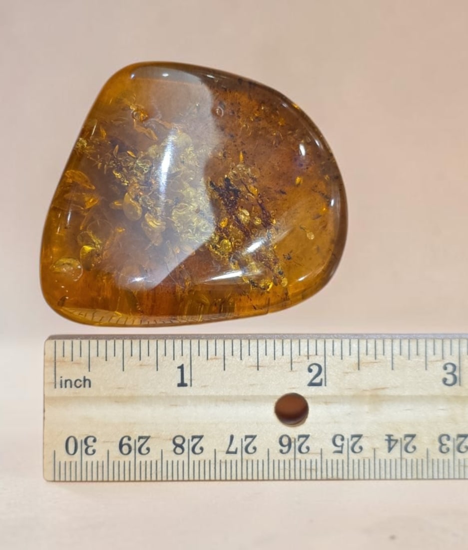 Large Amber Specimen - 2