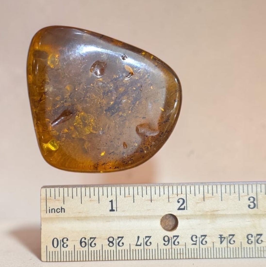 Large Amber Specimen - 3