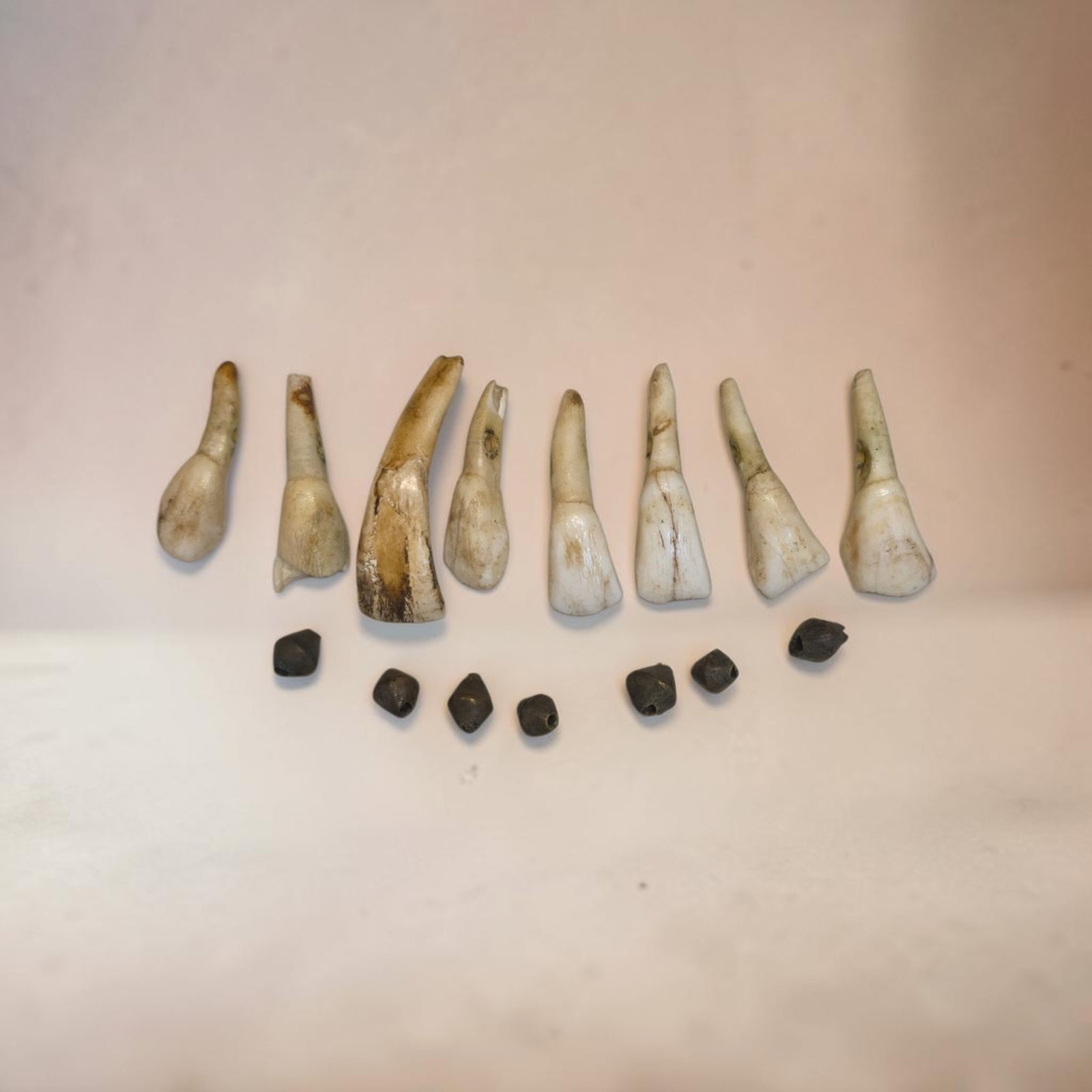 Antique Native American Trade Beads and Elk Teeth: .25" x 1" Antique Native American Trade Beads and Elk Teeth, Bronze Trade Beads, Large Elk Teeth Pendants