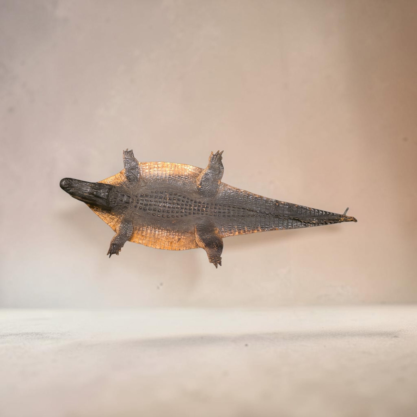 Vintage Taxidermy Alligator European Flat Mount: 90" x 41" Vintage Taxidermy Alligator European Flat Mount, detailed dorsal scutes along the spine transitioning to wider, golden-tan and speckled belly scales on the flanks, Wildlife Tag Included,