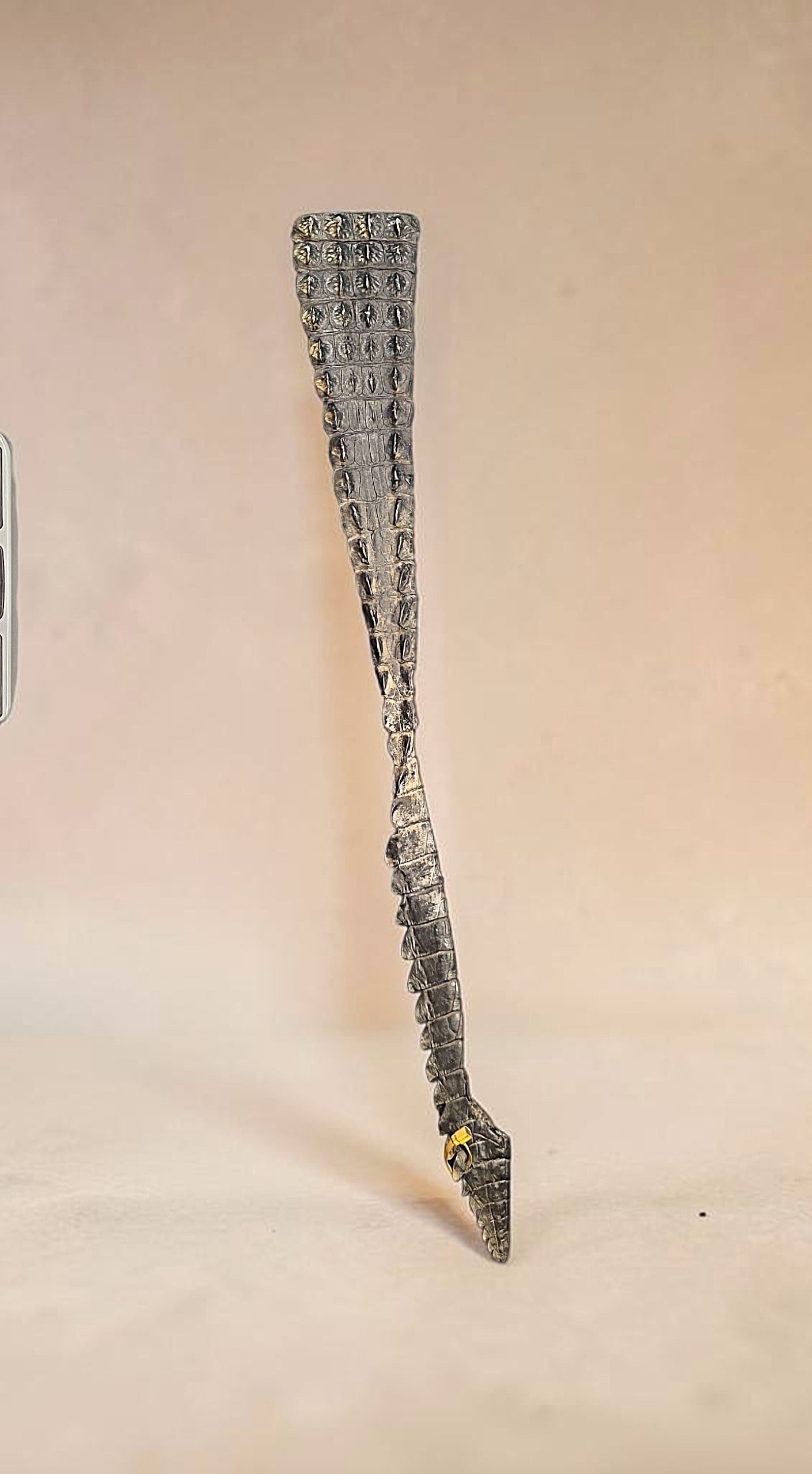Vintage Alligator Tail Taxidermy (1 of 3)