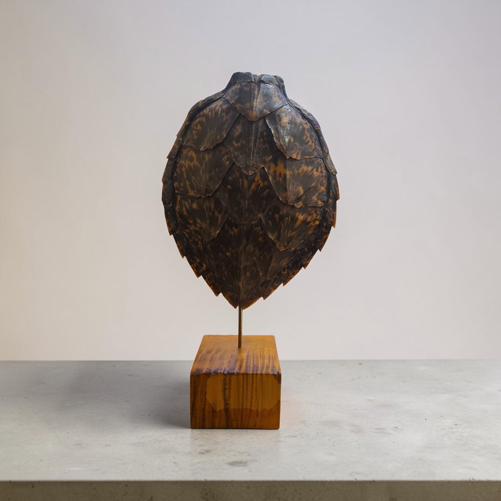 Antique Carapace on Wood Block Base (1 of 3)