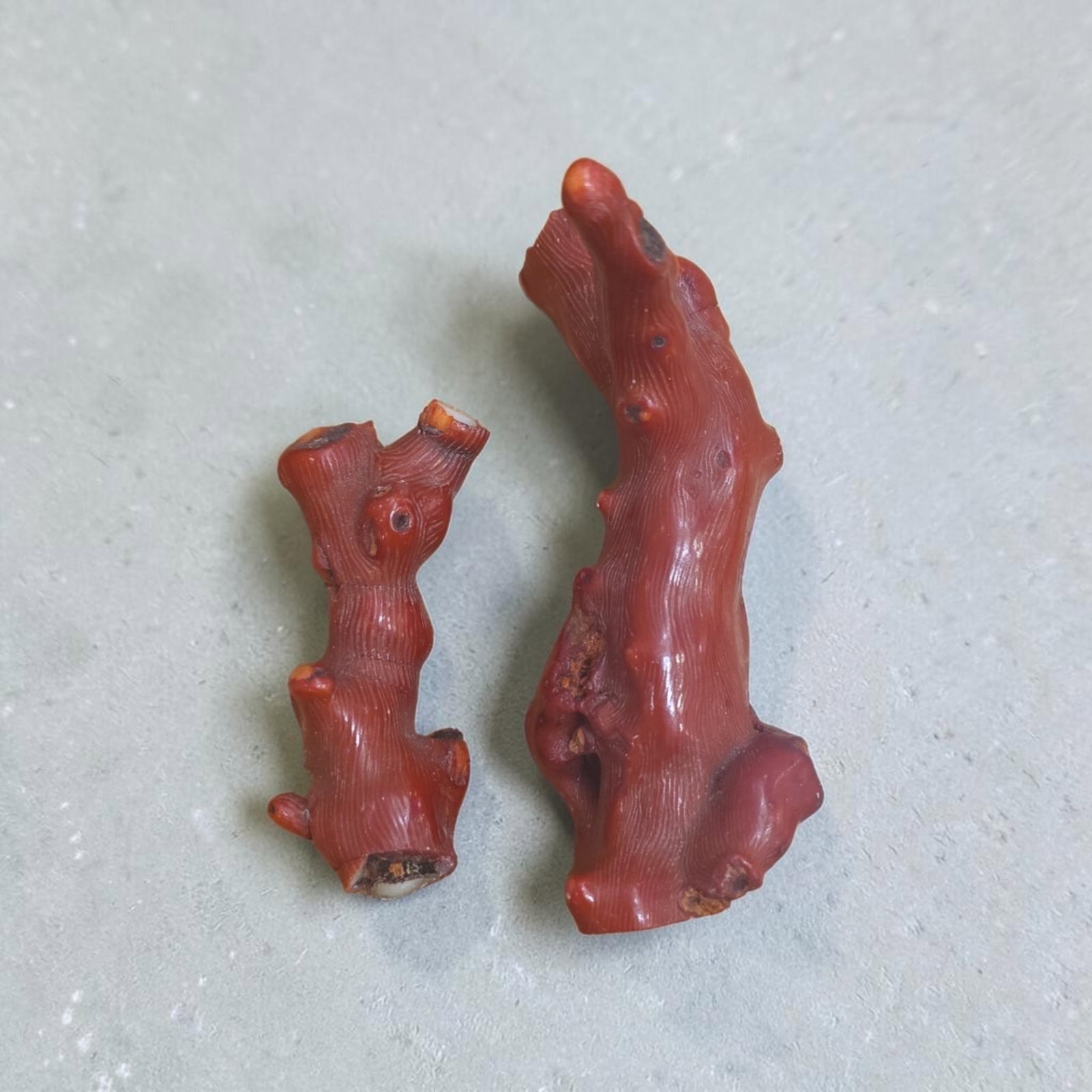 Natural Red Branch Coral: 3.25"-5", Natural Red Branch Coral