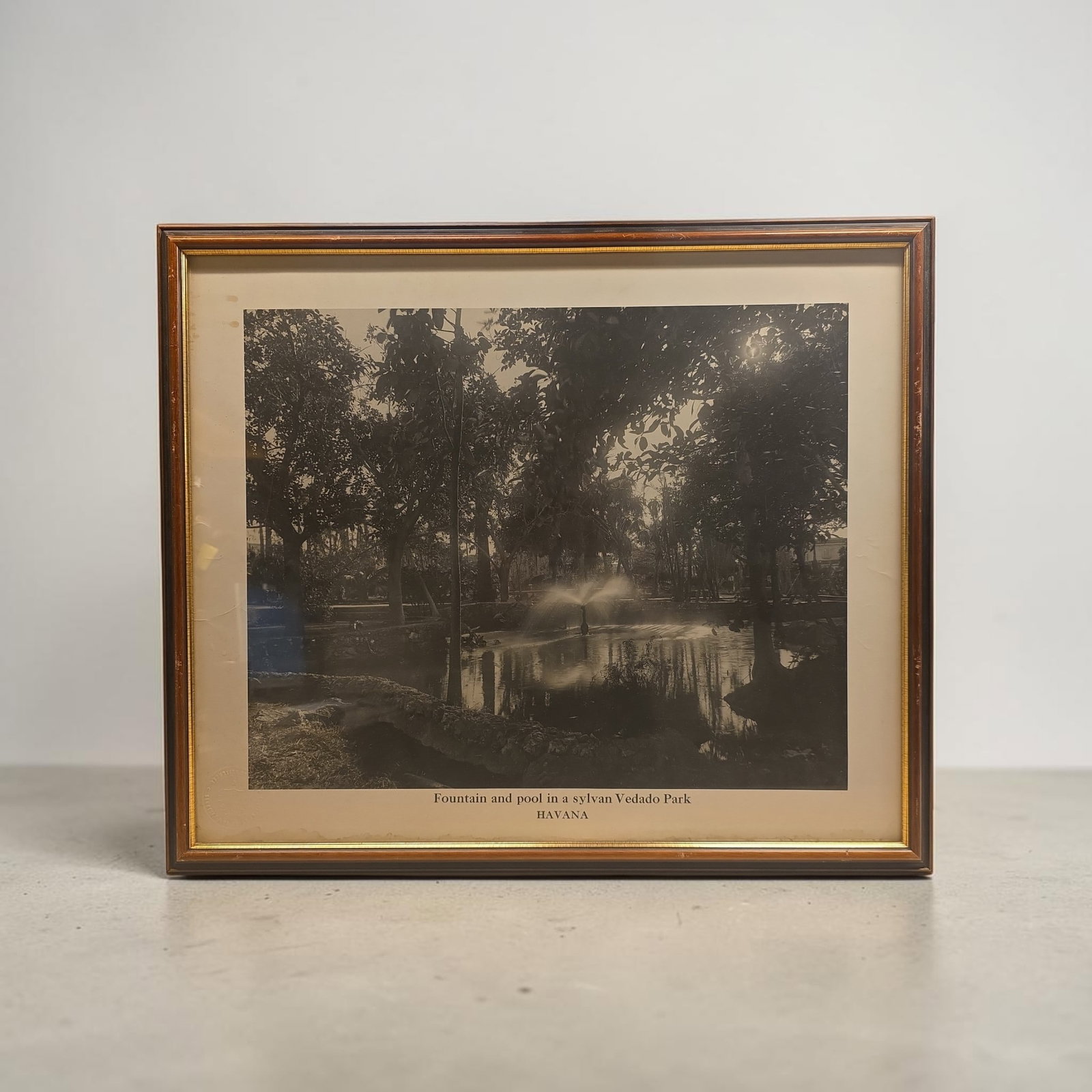 Vintage Black and White Photograh of Vedeado Park, Havana (1 of 2)