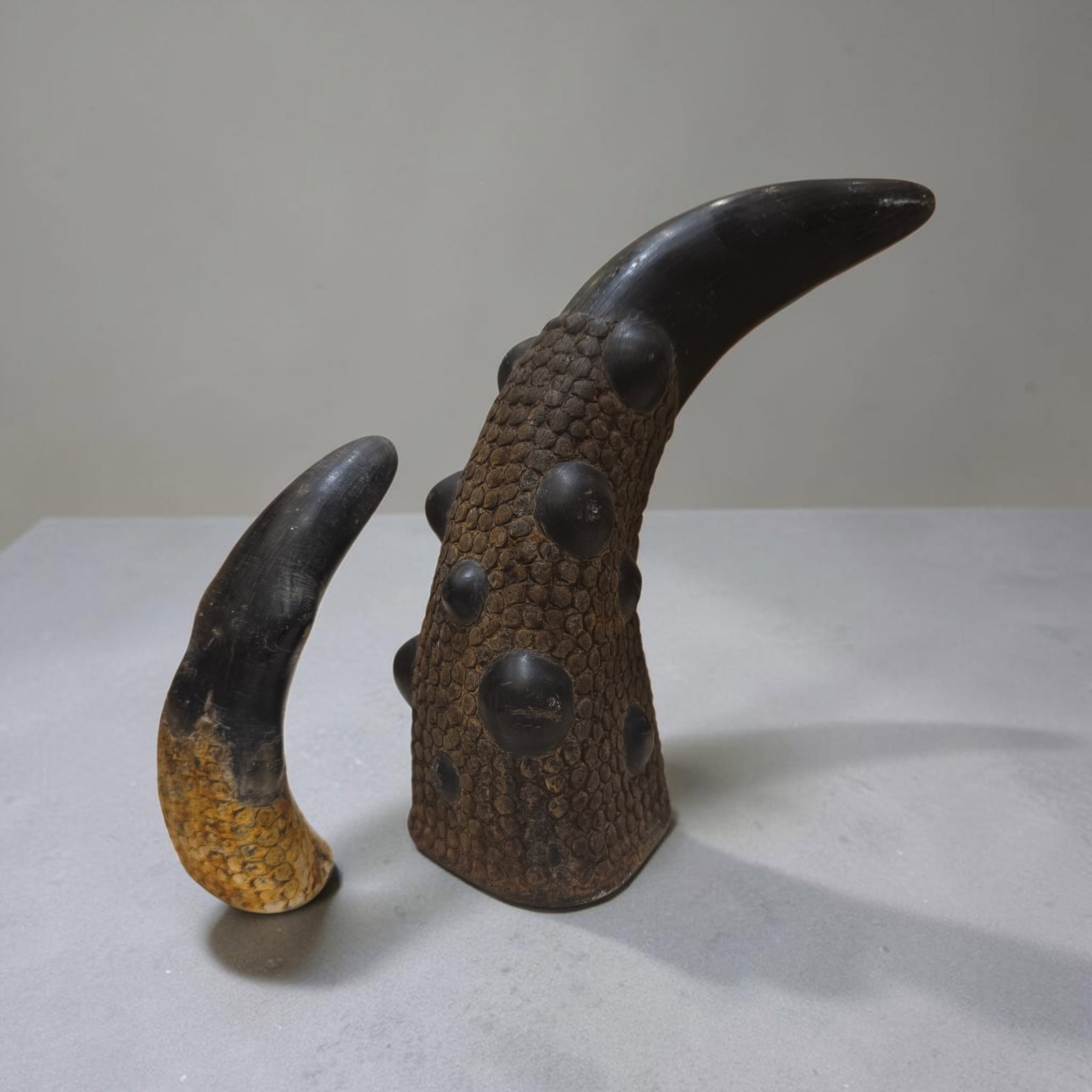 19th Century Tibetan Horns (1 of 3)