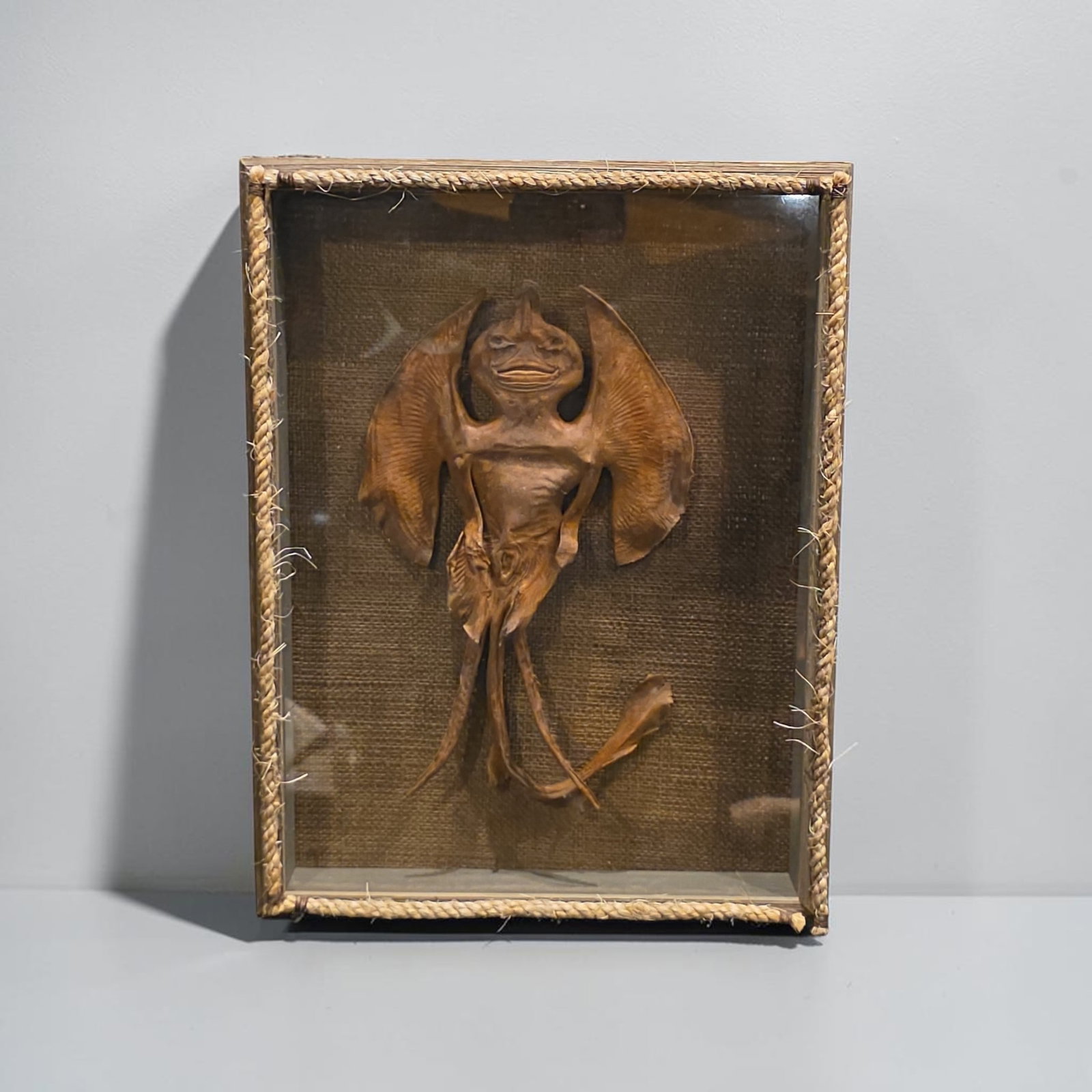 Antique Jenny Haniver, Humanoid Creature Odity Shadowbox (1 of 1)
