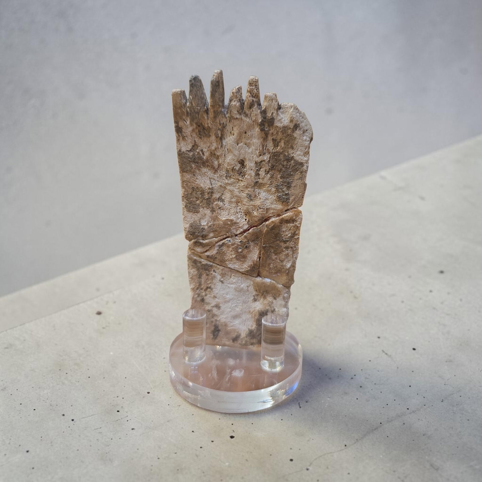 Pre-Columbian Mayan Diety Shell Comb - 2