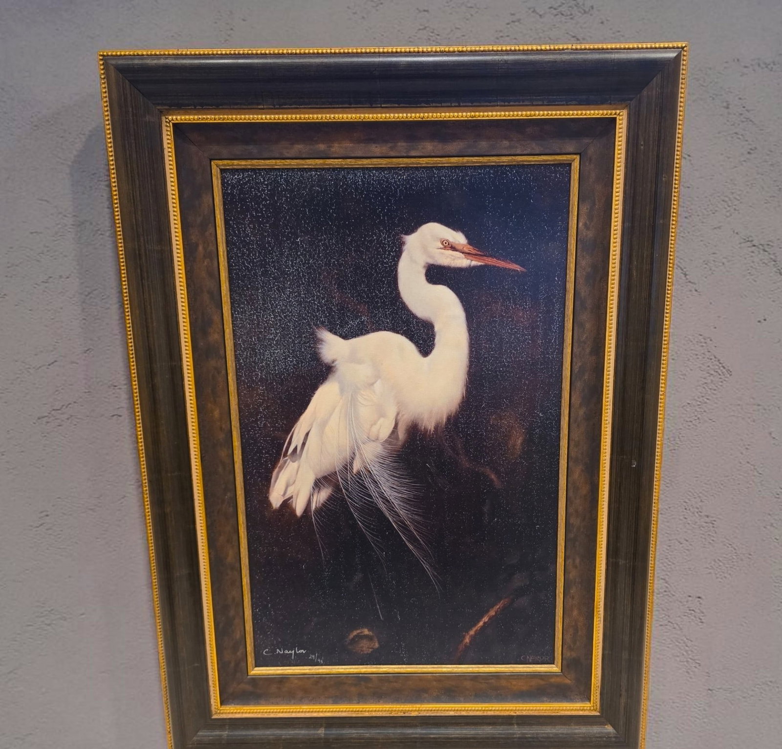 Framed Artwork of Crane, Canvas Art, Signed and Numbered, C.Naylor Artist: 28" x 38" Framed Artwork of Crane, Canvas Art, Signed and Numbered, Clair Naylor International Wildlife Portrait Artist, Canvas Print, Signed and Numberd.