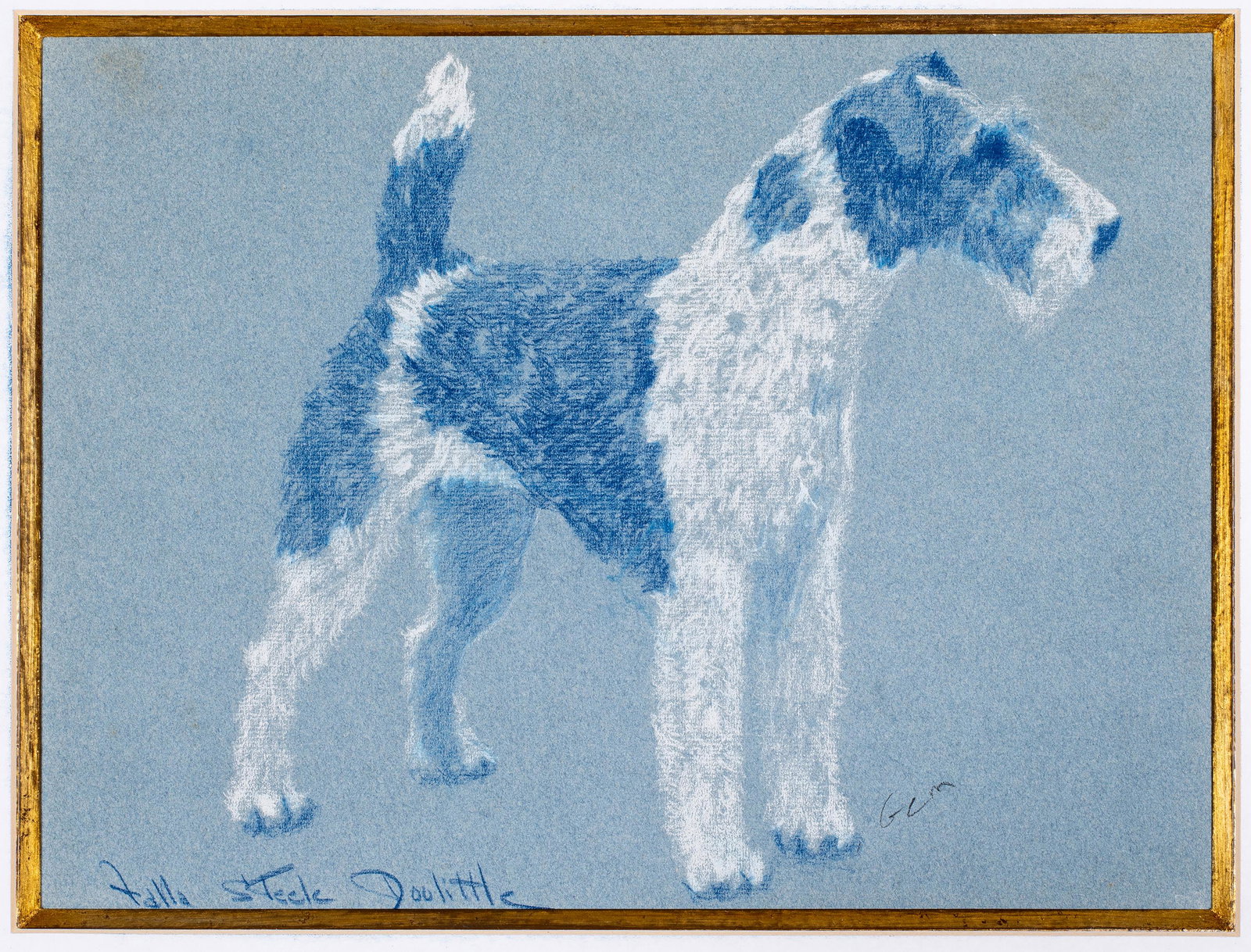 Falla Steele Doolittle (20th Century) Wirehaired Fox Terrier: The blue background paper measures 9 1/4 x 12 1/4 inches. Signed in the lower left. The artist's choice of pastel was ideal for capturing the texture of this unique animal!