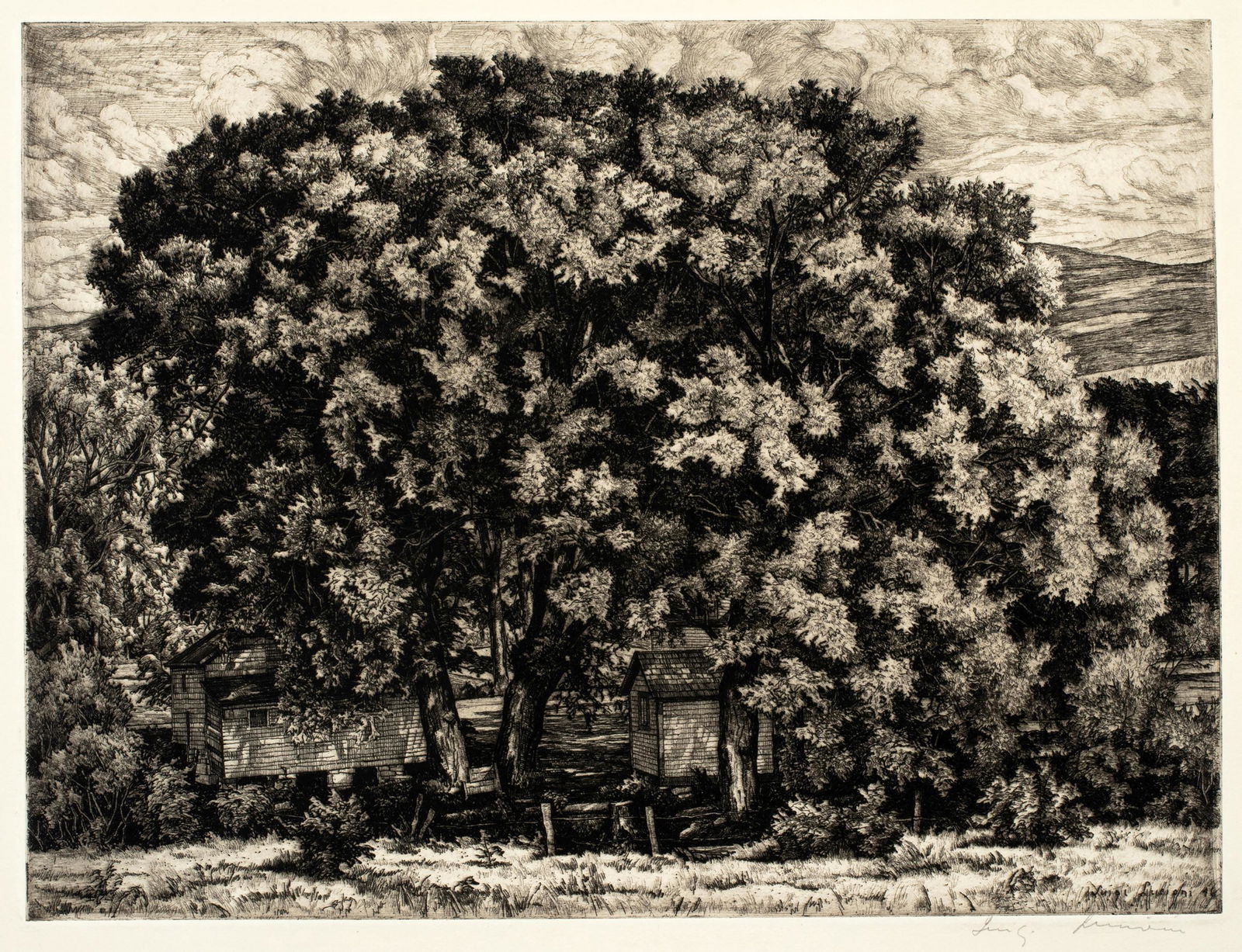 Luigi Lucioni (1900-1988) 'The Big Willows, 1946' (1 of 4)