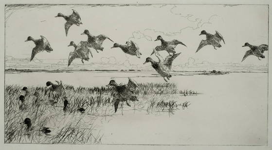 Frank Benson (1862-1951) 'Redheads Coming, 1930': This is an original etching and drypoint by American Sporting artist Frank Benson. The title of this work is "Redheads coming", it was created and printed in 1930. It appears in the Ordeman catalog as