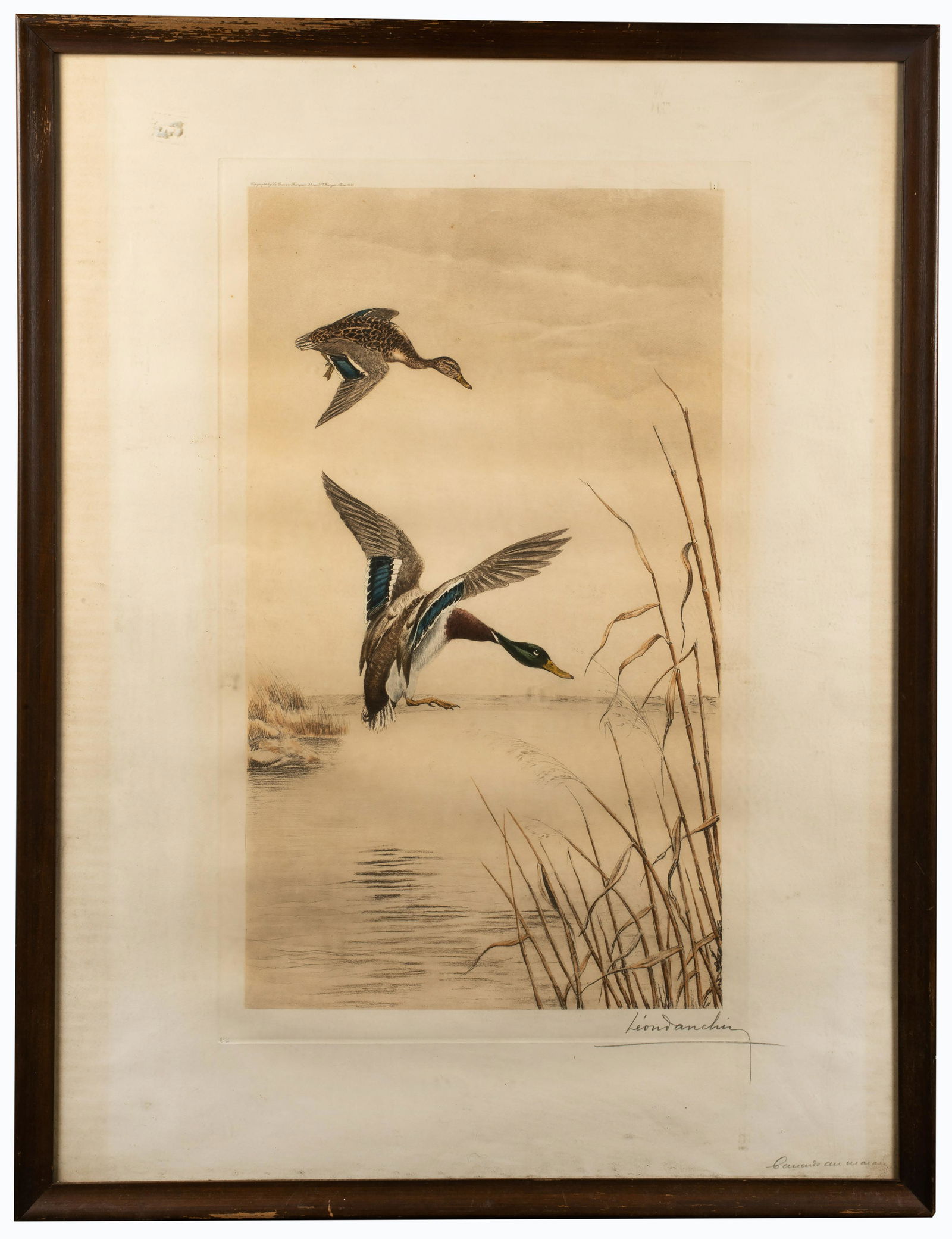 Leon Danchin (1887 - 1938): 200 hand colored etching, "Canards", pencil signed lower right, ed 352/1000 (lower left), copyright by La Gravure Francaise, 41 Rue St, Gorge, Paris, 1935, in period frame. 23 1/2" x 14" (plate), fram