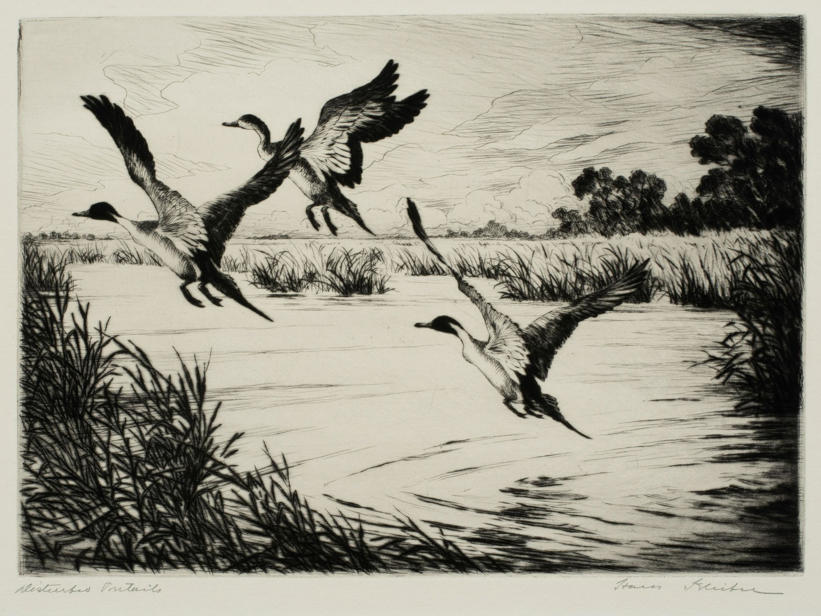Hans Kleiber (1887-1967) 'Disturbed Pintails, 1948' (1 of 5)