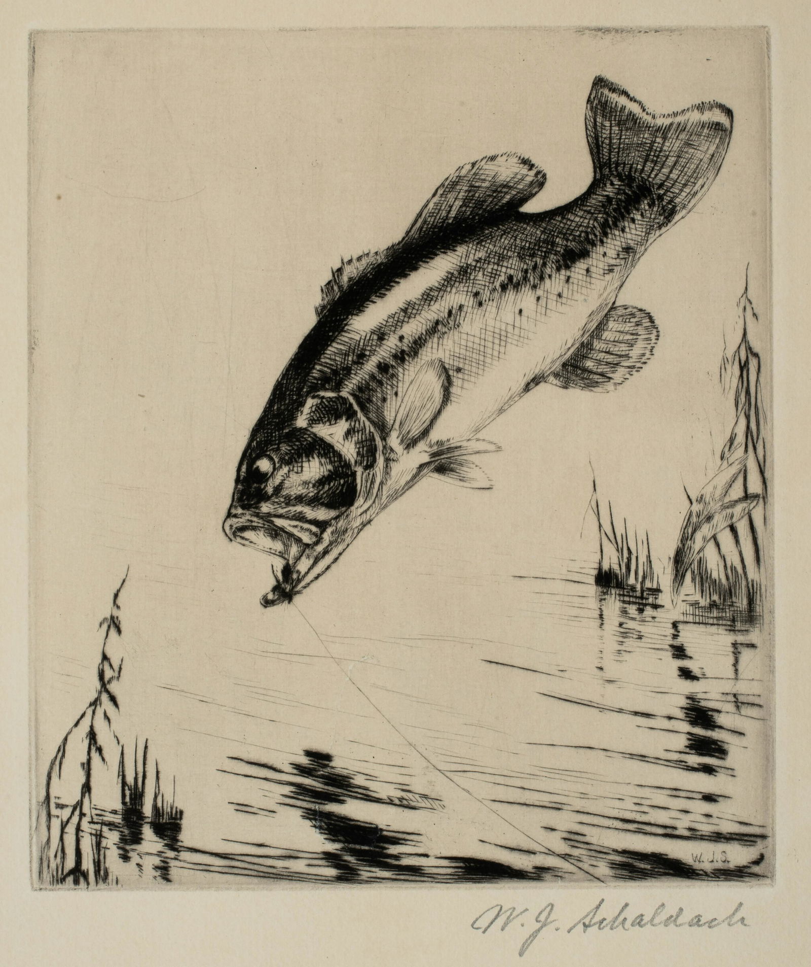 William Joseph Schaldach (1896-1982) 'Fighting Mad - Black Bass, 1936' (1 of 4)