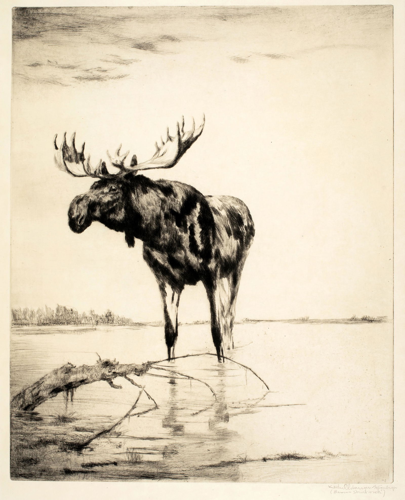 Kathe Olshausen-Schonberger (1881-1968) 'Moose at a Pond, c.1920' (1 of 4)
