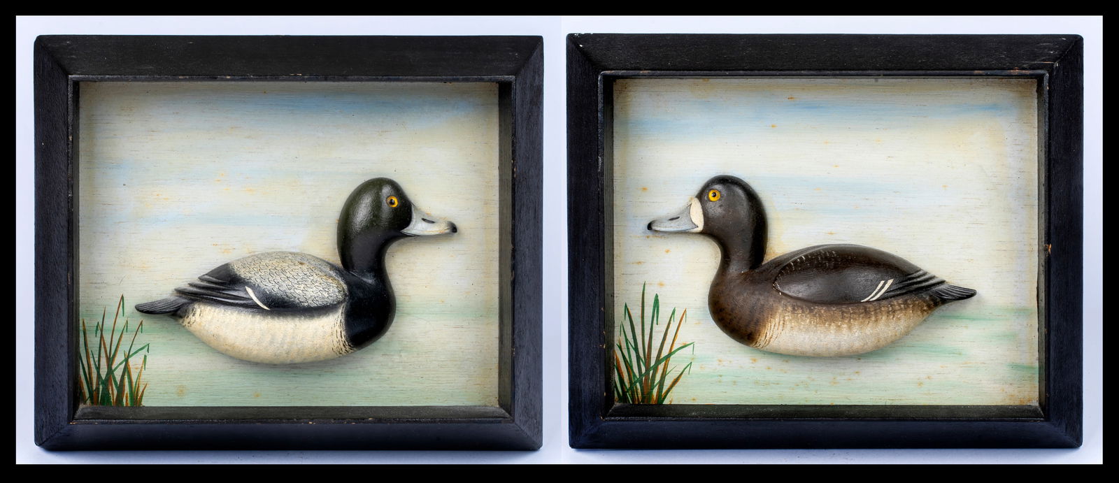 Alain MacDonald (1886-1961), Pair of Quebec Blue Bill Decoy Plaques, 1930's (1 of 17)