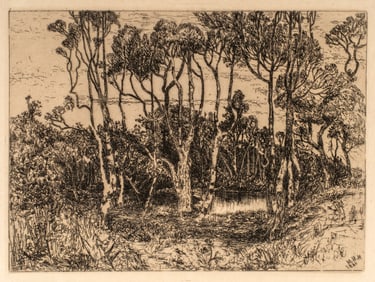 Mary Nimmo Moran (1842-1899) Solitude, 1886