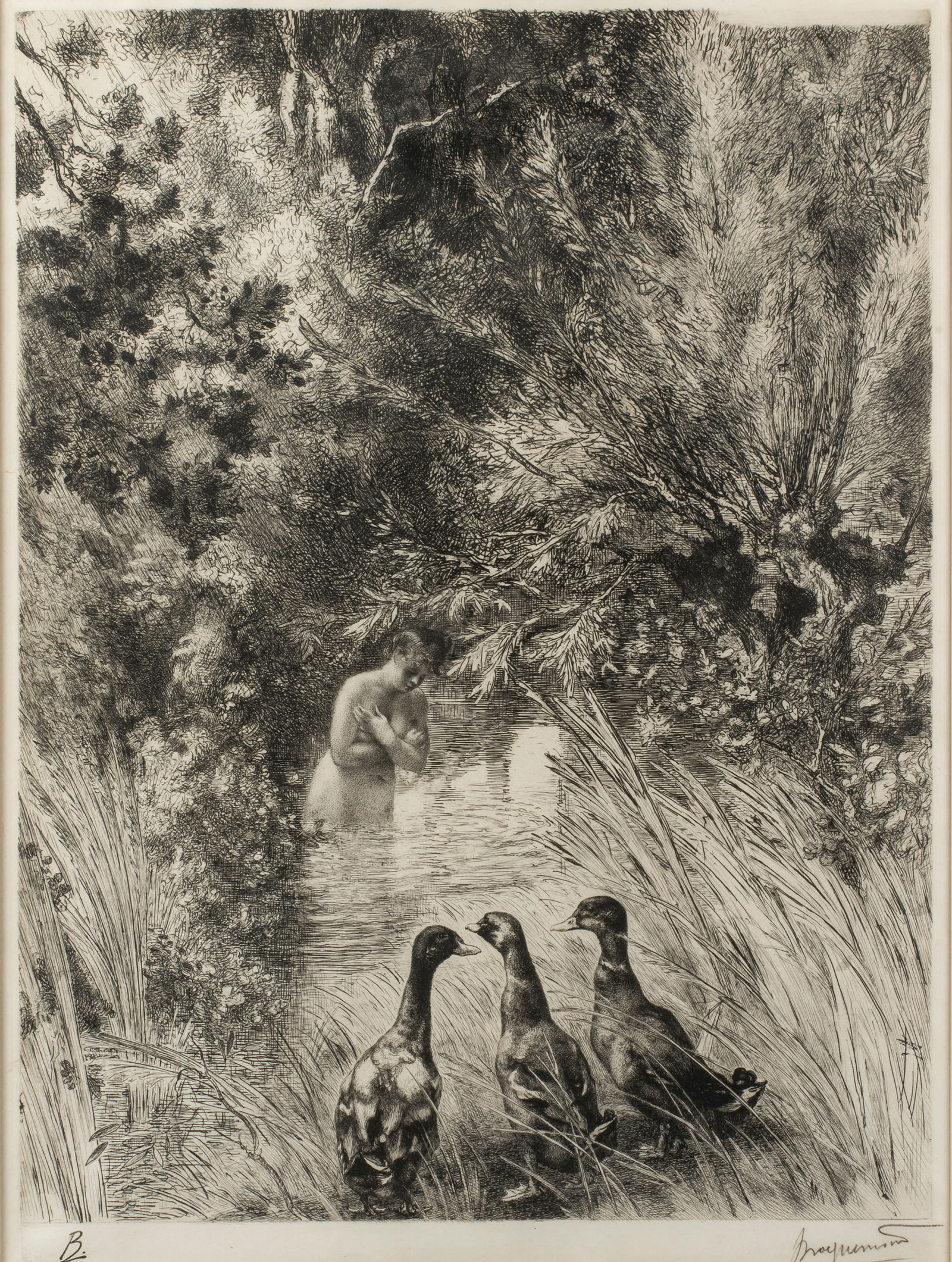 Felix Bracquemond (1833-1914) Canards Surpris, c.1882 (1 of 8)