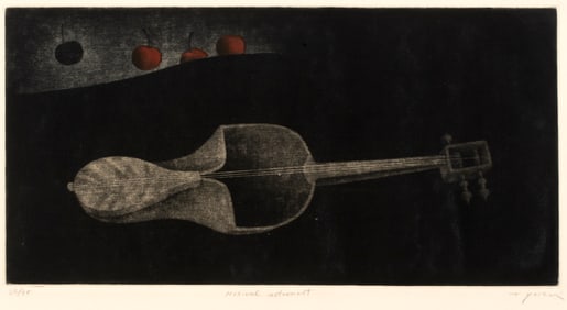 Yokoi Tomoe, Musical Instrument