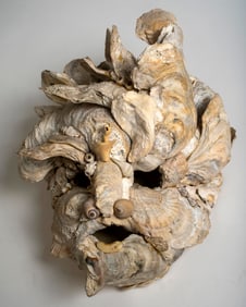 A Shell Mask, Carol Anderson, 1977