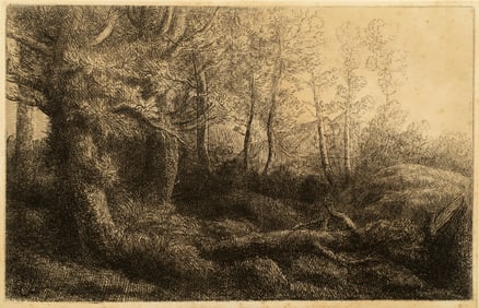 Alphonse Legros (1837-1911) A Woodland Study, 1903