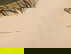item-209069008=12