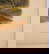 item-209069008=16