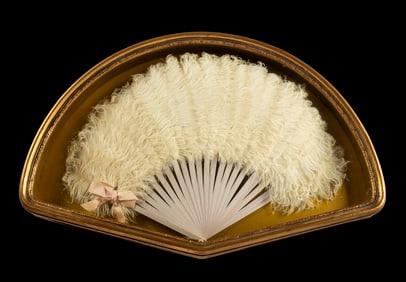 An Antique Ostrich Feather Fan