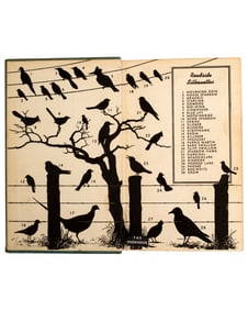 Illustrated Books about Birds, Five Titles