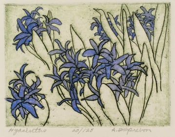 Ann Semprebon, Hyacinths