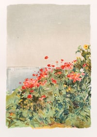 Celia Thaxter and Childe Hassam (illus), An Island Garden, 1900