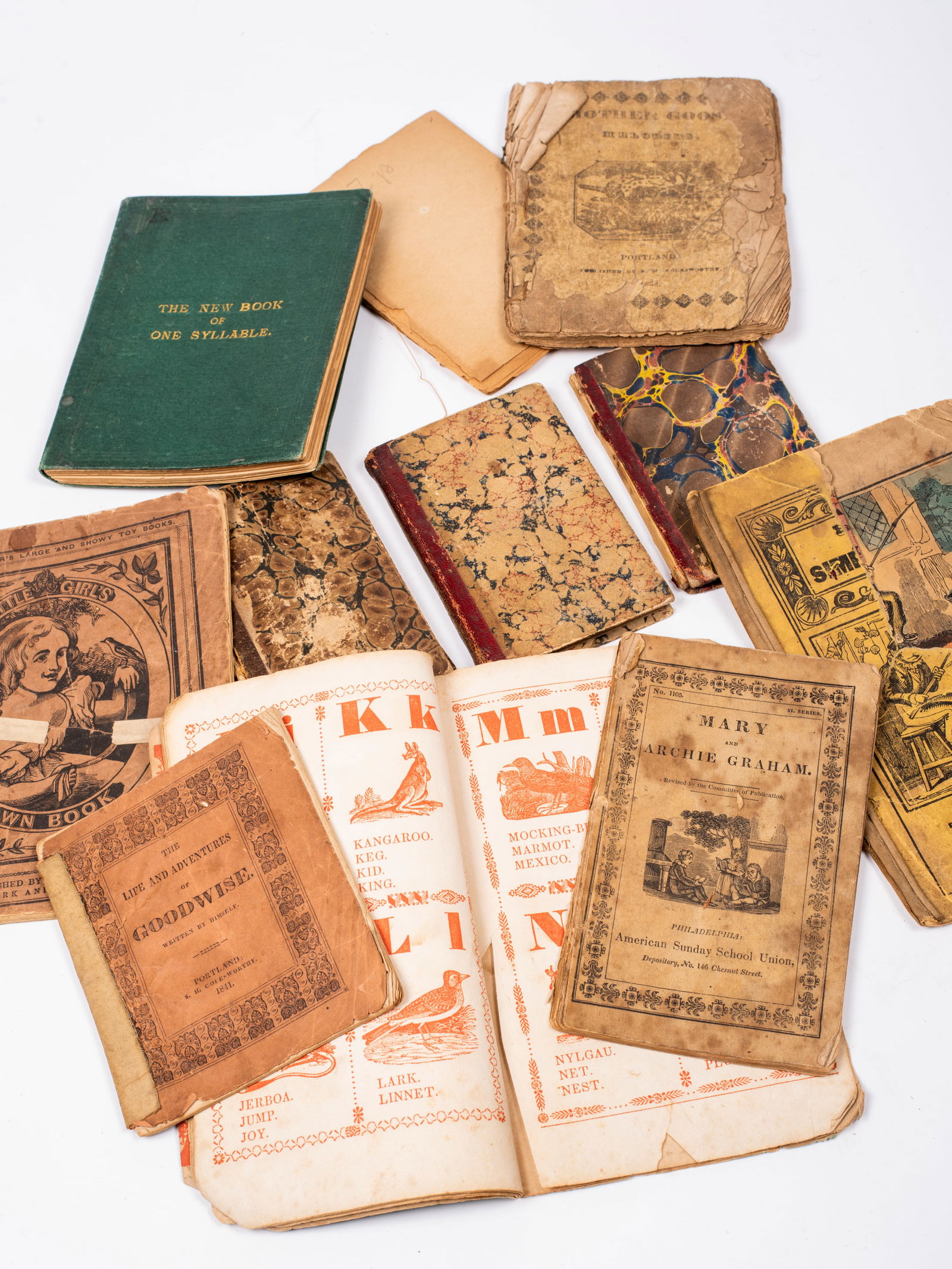 A Collection of 19th century School Books and Primers (1 of 18)