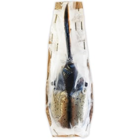 Dynastes hercules
