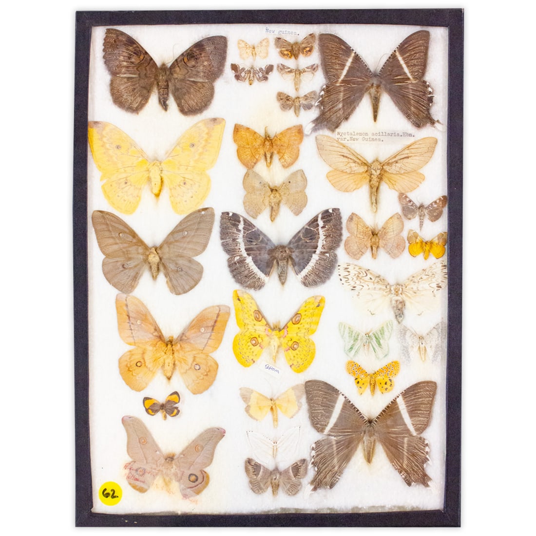 COLLECTION CASE LOT 8 (1 of 1)