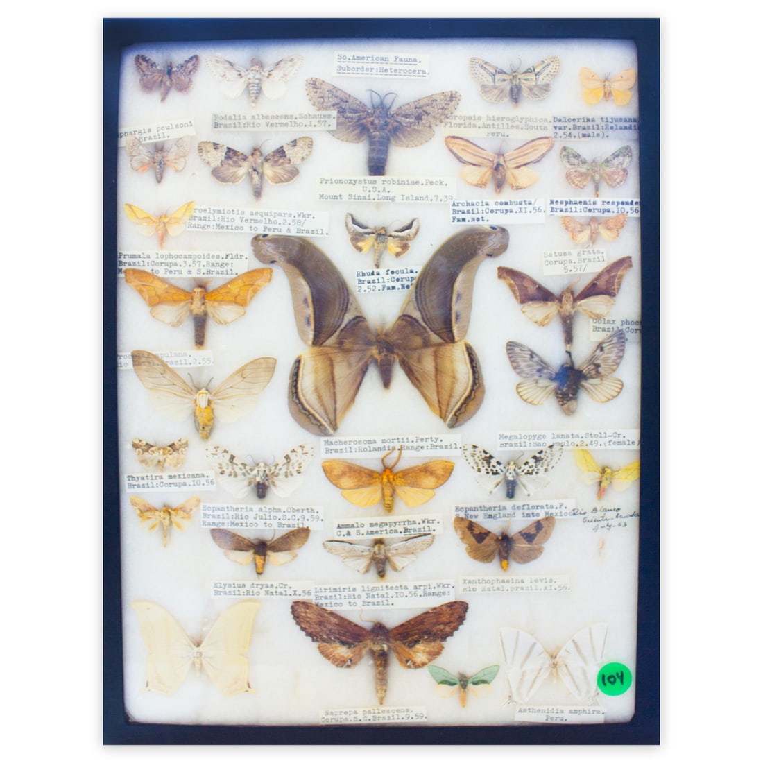 COLLECTION CASE 8 (1 of 1)