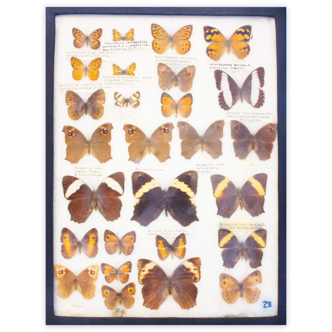 COLLECTION CASE 10 (1 of 1)