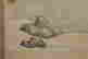 item-131573116=4