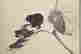 item-131573117=4