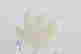 item-133783860=5
