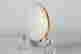 item-137701111=4
