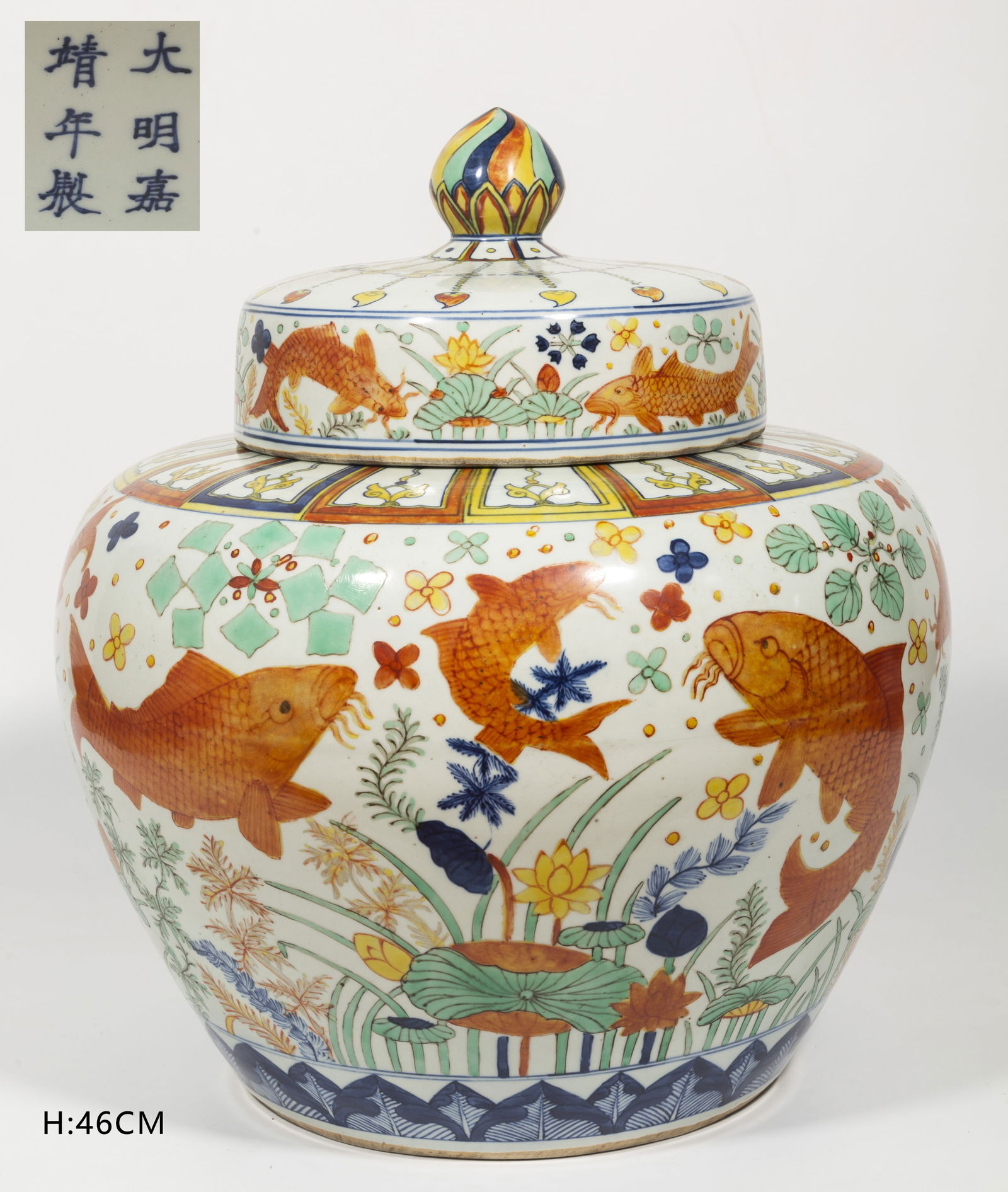 A BIG PORCELAIN JAR, WITH FISH AND ALGAE DESIGN. (1 of 10)
