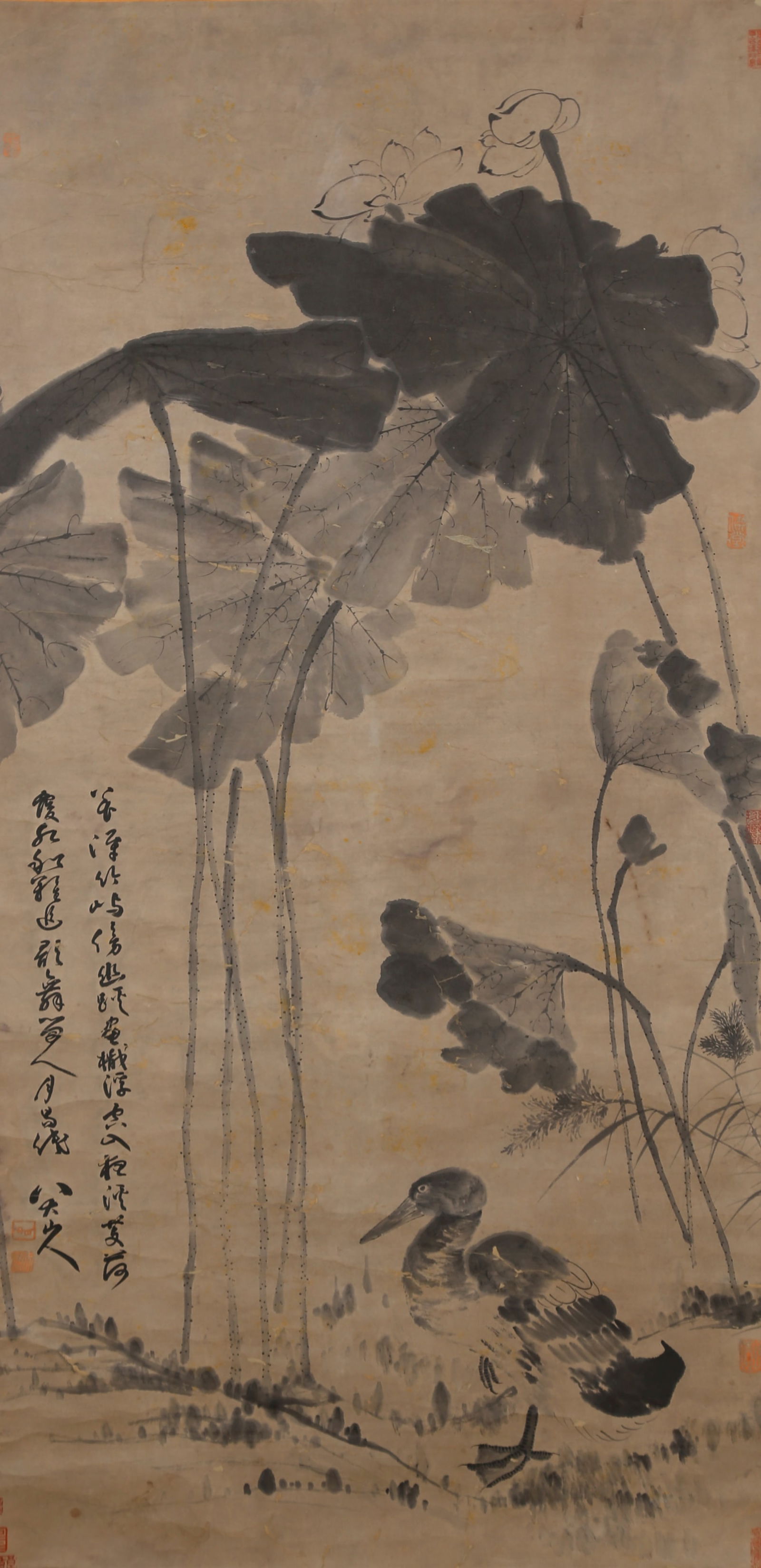 A FLOWERS AND BIRDS ON PAPER BY BADA SHANREN.八大山人: Flowers and Birds on Paper by Bada Shanren.八大山人